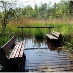 Sitzgruppe im Moor