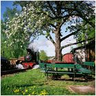 Sitzgruppe Waldeisenbahn