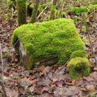 Sitzmöbel im Thüringer Wald