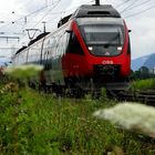 "Sitzperspektive", Schaftenau (Tirol), 23.07.2011