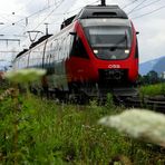 "Sitzperspektive", Schaftenau (Tirol), 23.07.2011