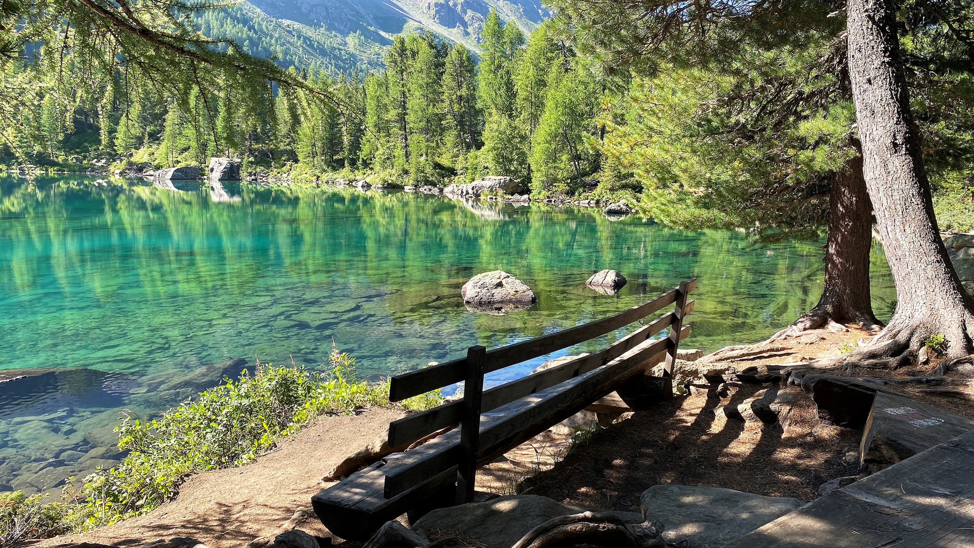 Sitzplatz fürs "Naturkino"