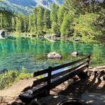 Sitzplatz fürs "Naturkino"