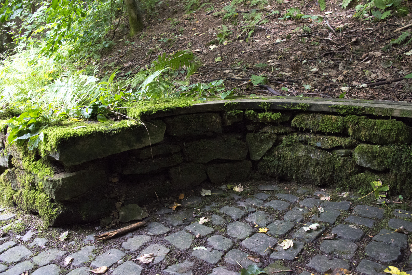 Sitzplatz im Wald