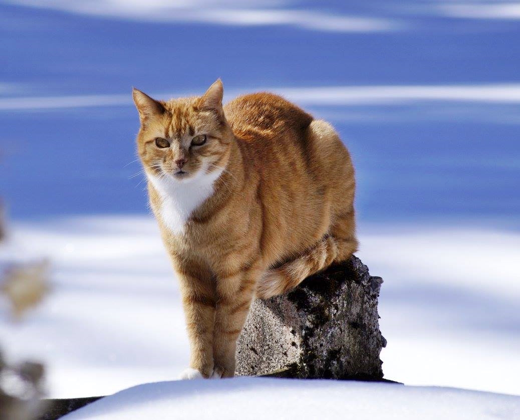 Sitzplatz im Winter