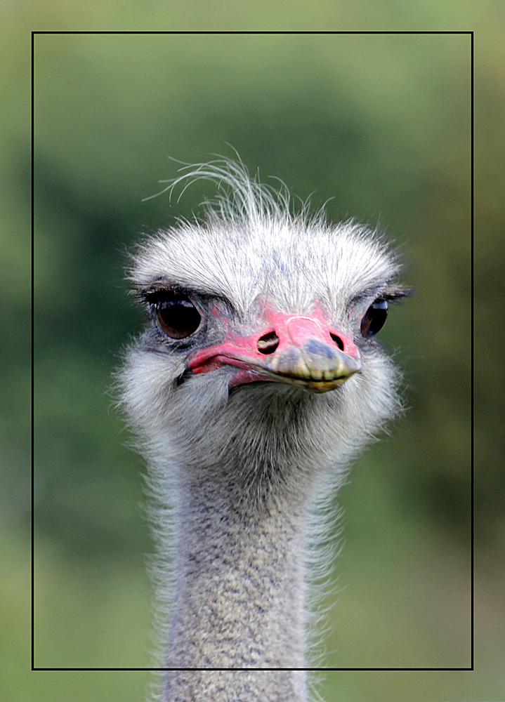 sitzt meine Frisur? Foto & Bild | sonstiges, witziges ;o), my pics