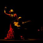 Siviglia 2024. Flamenco 