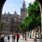 siviglia - la giralda