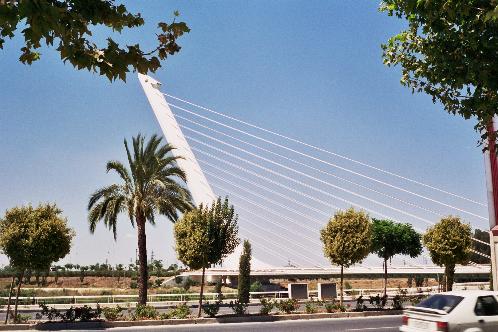 Siviglia - un ponte di Santiago Calatrava