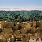 Siwa