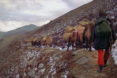 Six horses are carrying all our trecking equipment