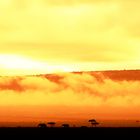 six o´clock in Kenya (Masai Mara)