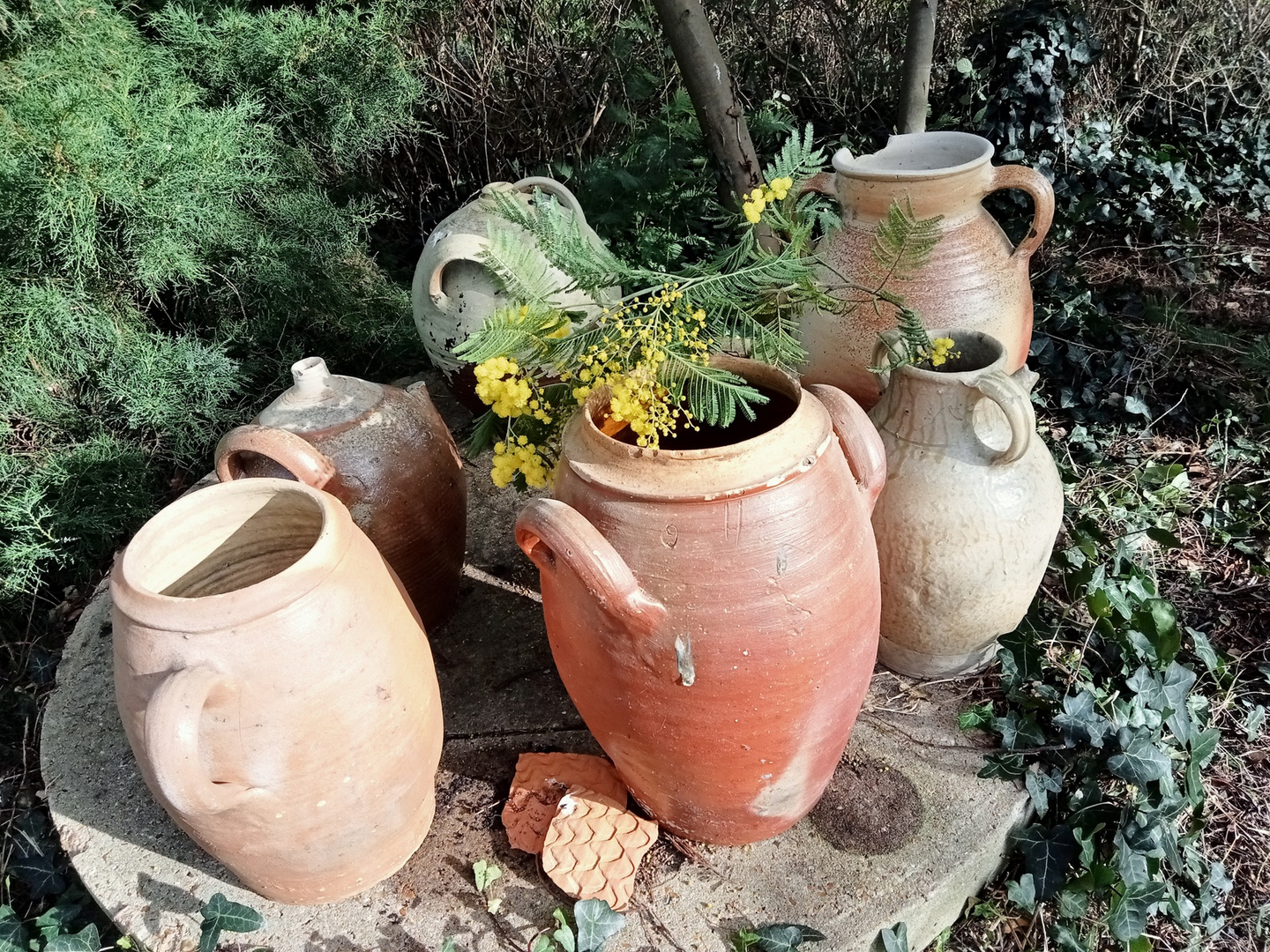 Six pots en grès dans un coin du jardin - Exercice n° 5 : le chiffre 6