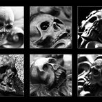 [ six skulls ]