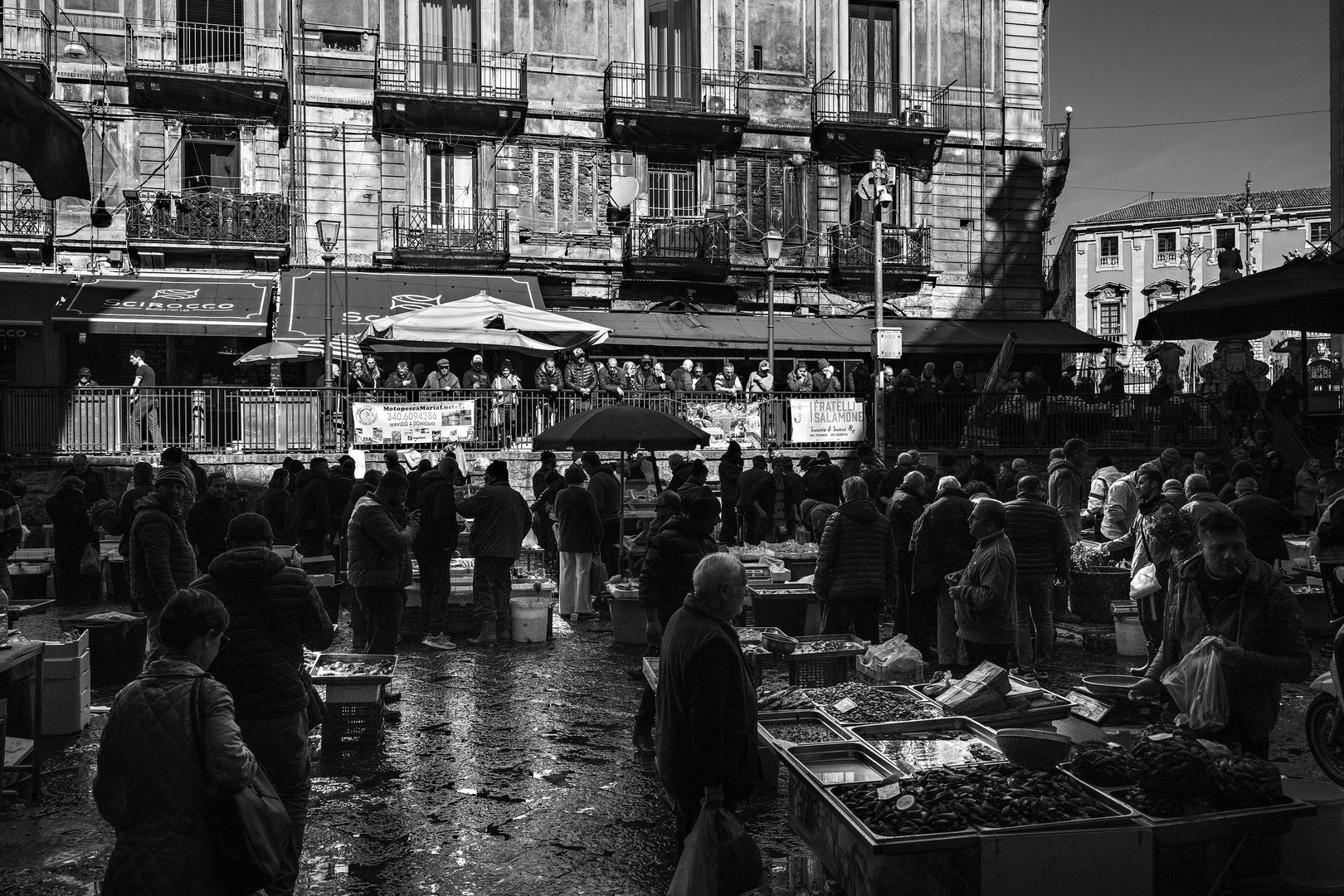 Sizilien - Catania - Fischmarkt 