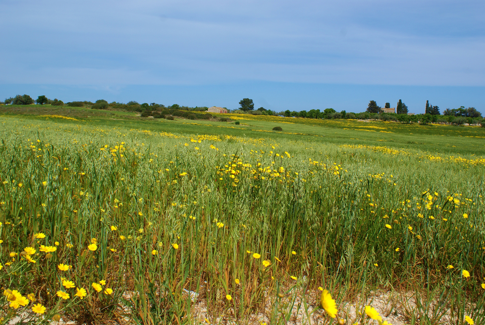 Sizilien - Frühlingslandschaft im Süd-Osten