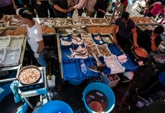 Sizilien - Nr. 17 - Fischmarkt in Catania