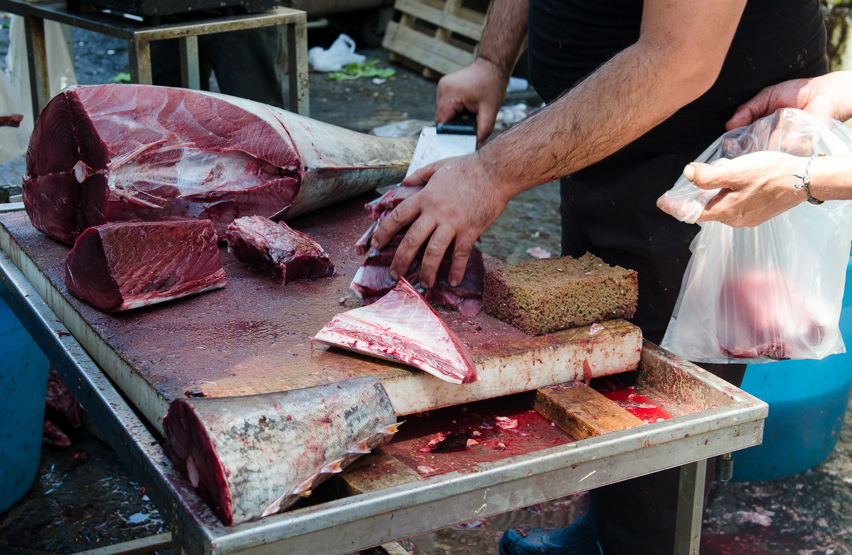 Sizilien - Nr. 19 - Fischmarkt in Catania