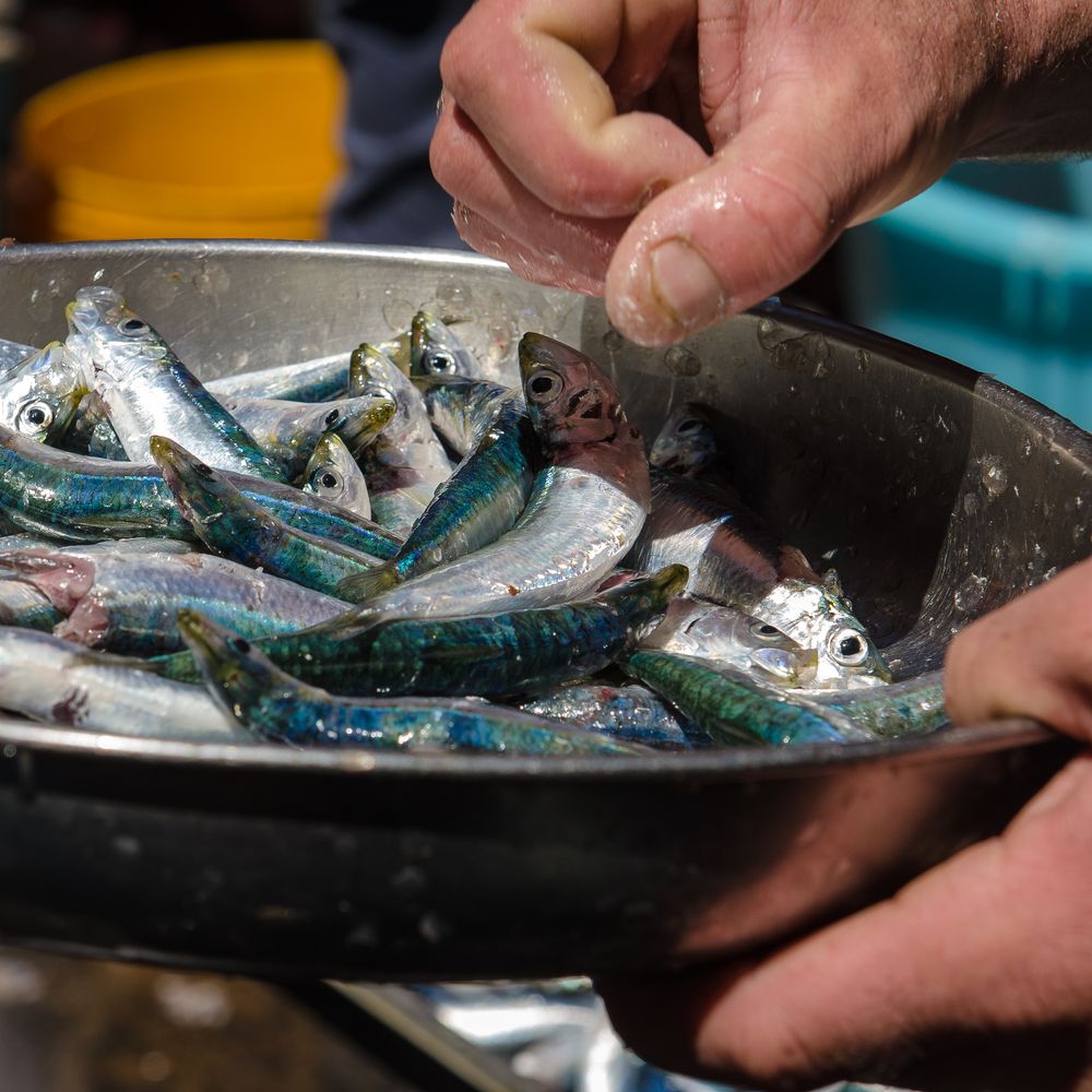 Sizilien - Nr. 20 - Fischmarkt in Catania