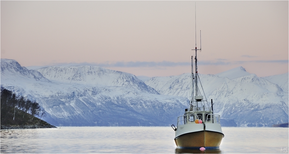 Sjøfjord