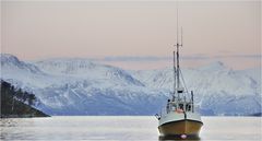 Sjøfjord