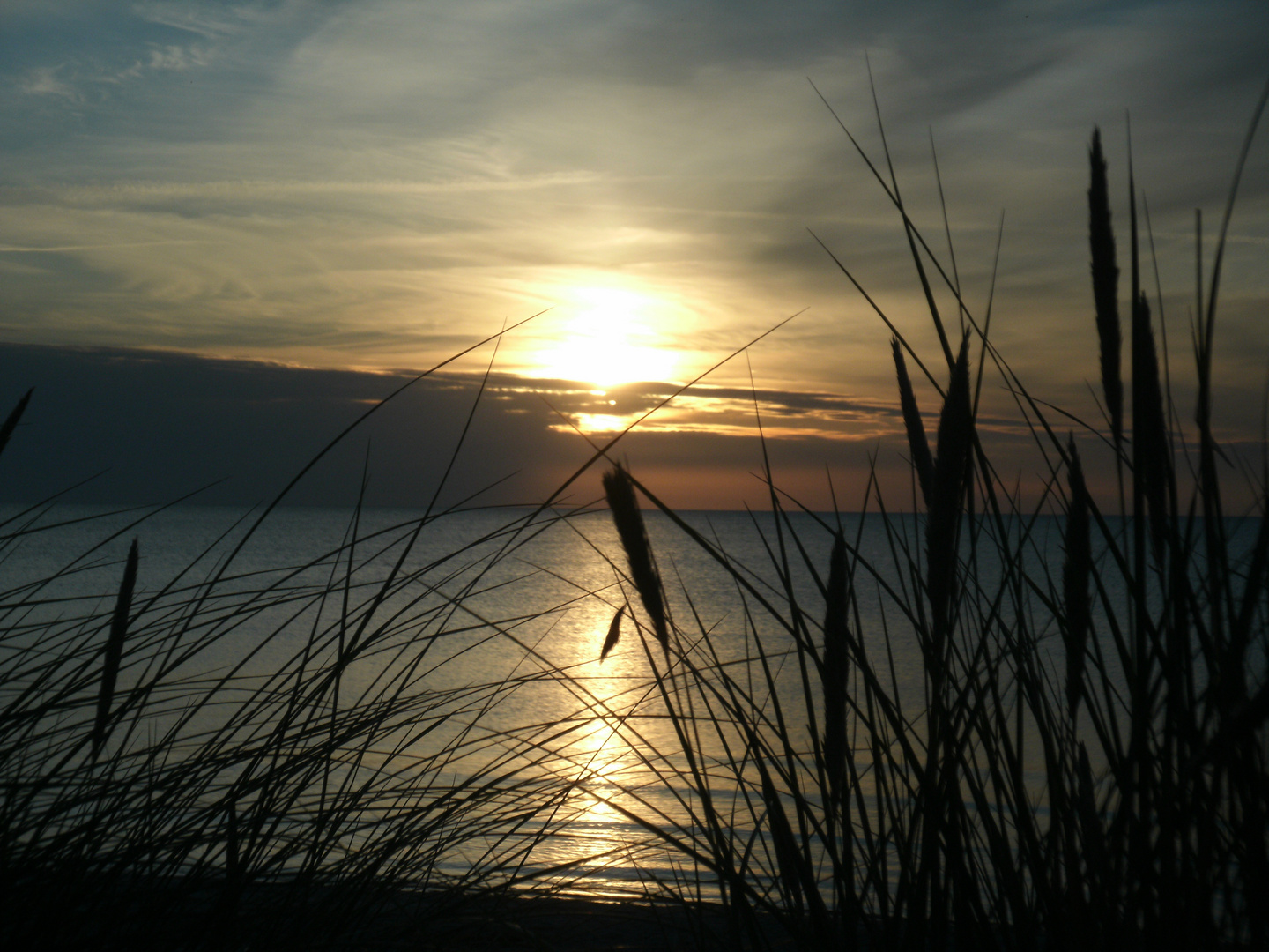 Sjælland - Nykøbing/Rørvig/Klint IV