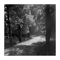 SK #016 "a walk in the park"
