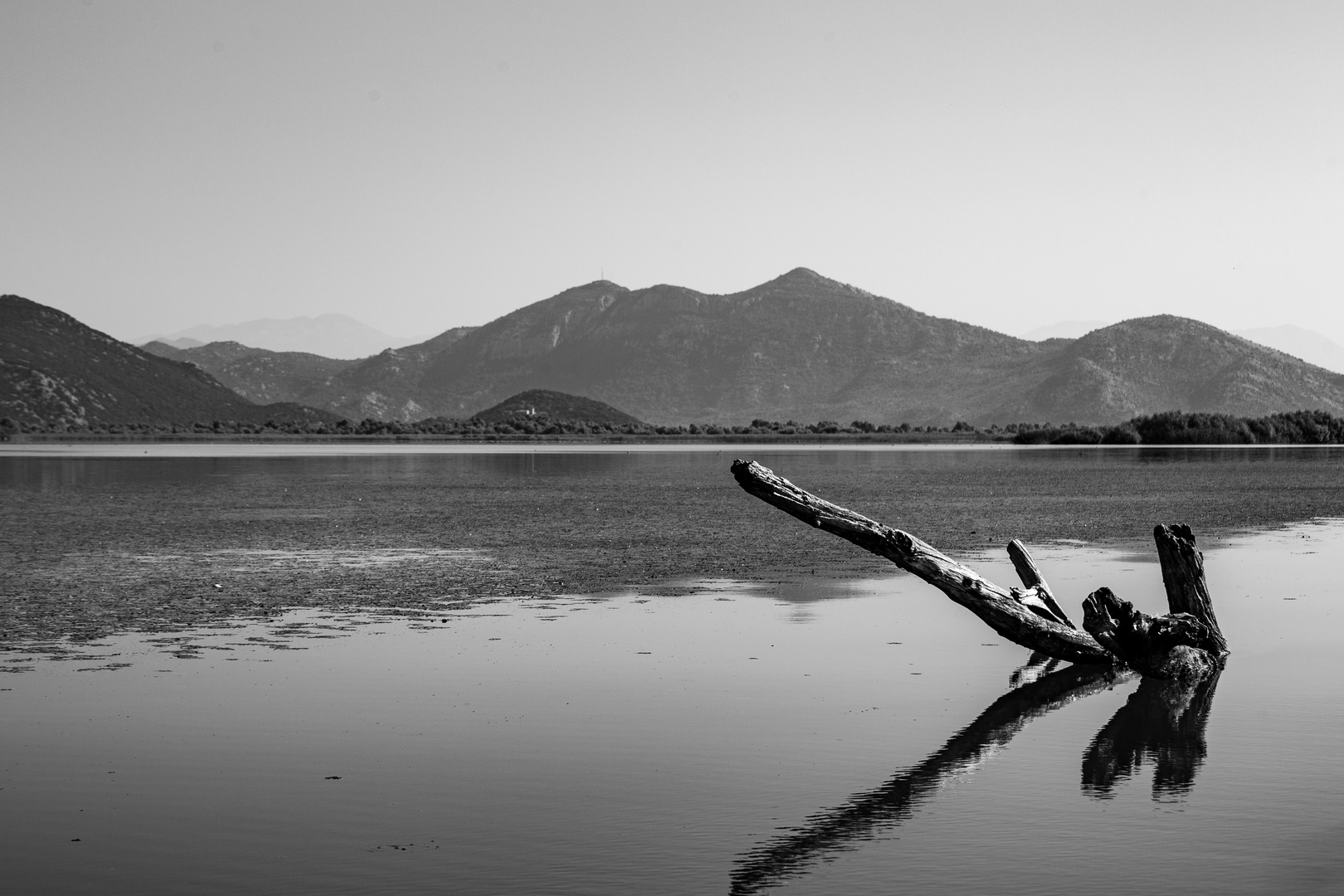 Skadar Lake