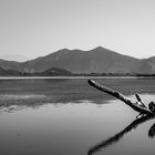 Skadar Lake