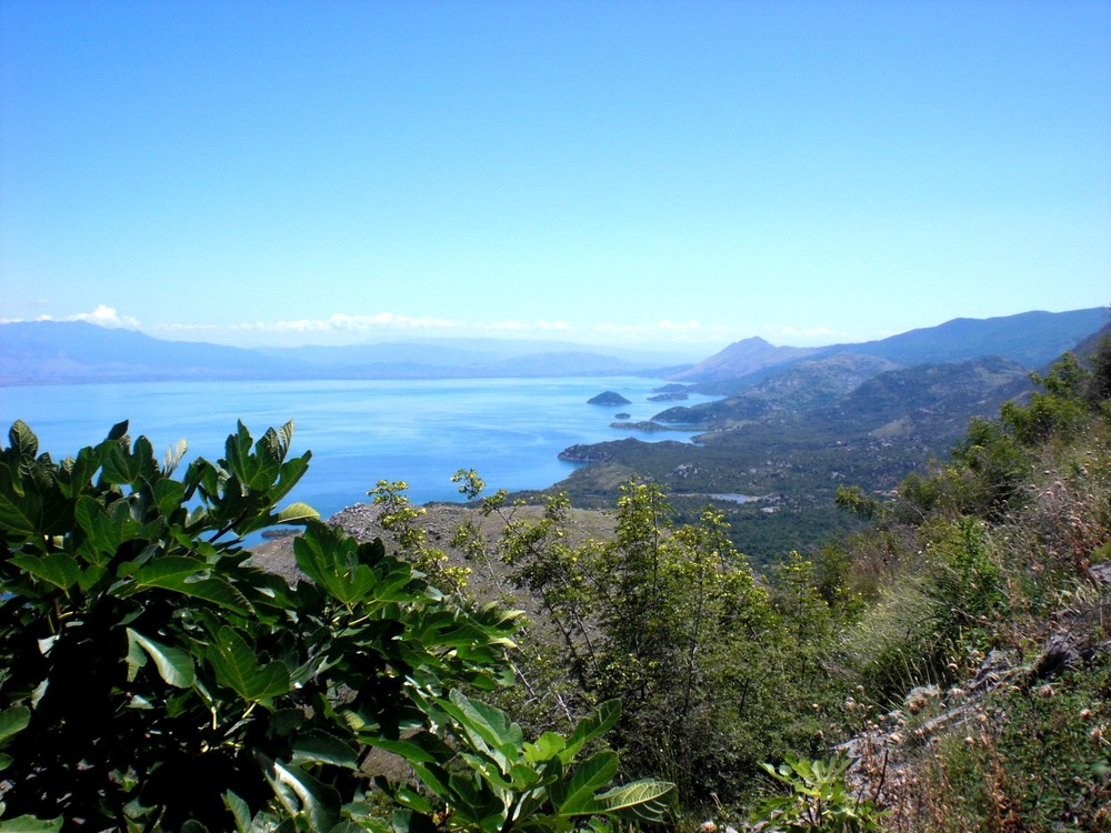 Skadar See in Montenegro