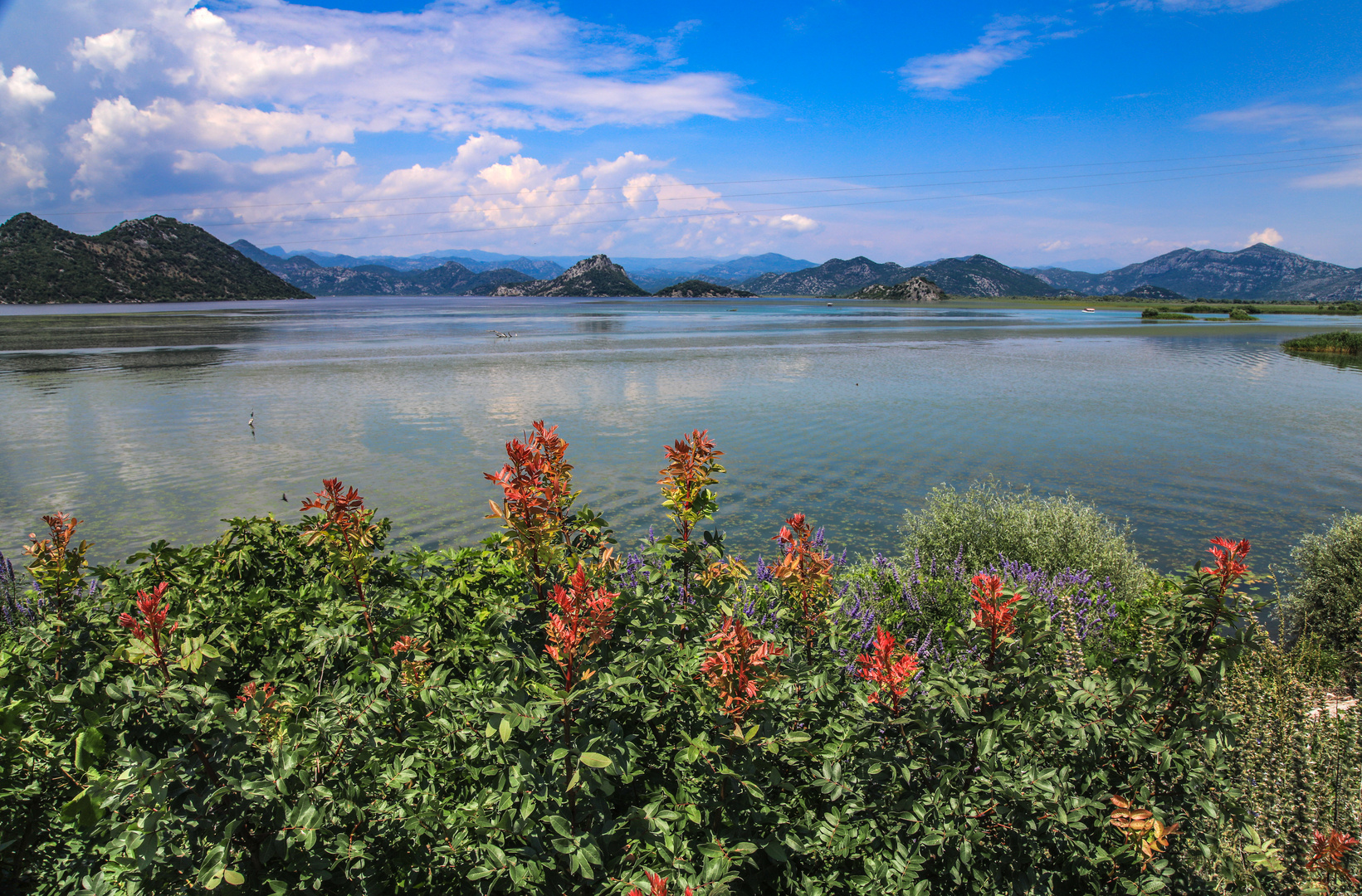 Skadarska Jezero 2