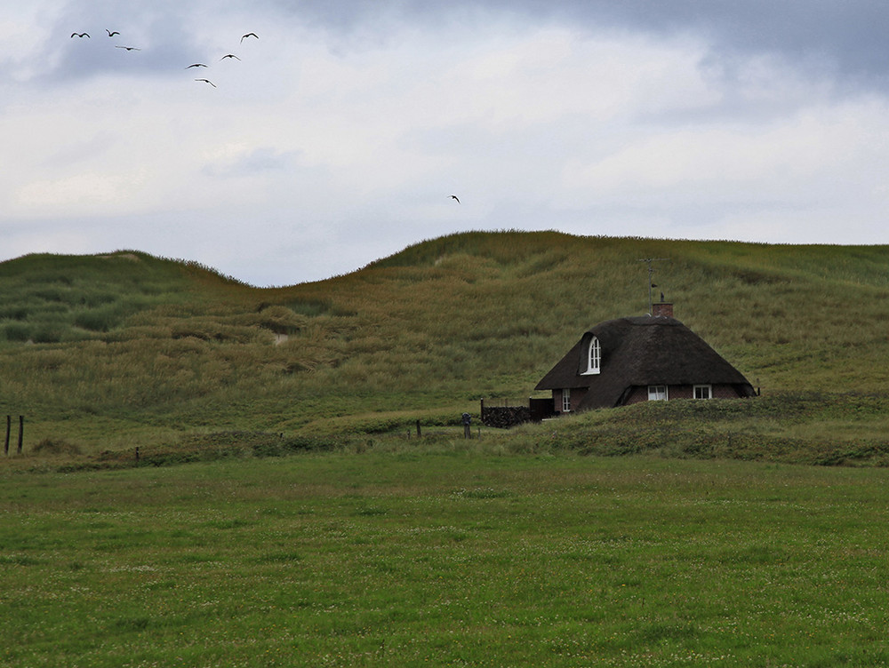 SKAGEN 2