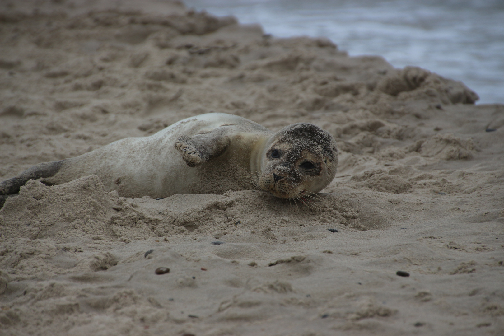 Skagen am Strand