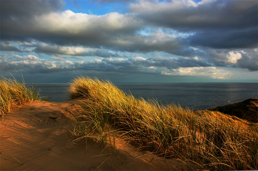 skagen