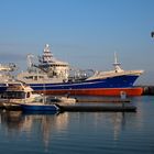 Skagen, Fischereihafen (1)