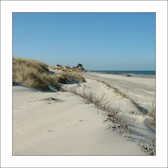 Skagen Klit