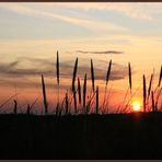 Skagen solnedgang