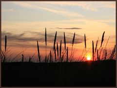 Skagen solnedgang