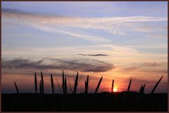 Skagen solnedgang III