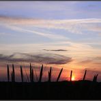 Skagen solnedgang IV