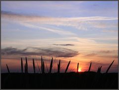 Skagen solnedgang IV