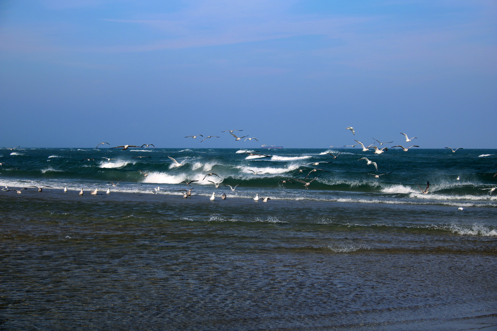 Skagen - The Top Of Denmark (4)