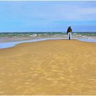 Skagen und Grenen - das Land der Sonne, des Lichtes und der Künstler (7)