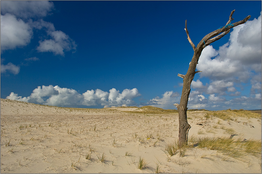 Skallingen (Dead Vlei für Arme)