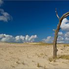 Skallingen (Dead Vlei für Arme)