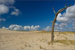 Skallingen (Dead Vlei für Arme)