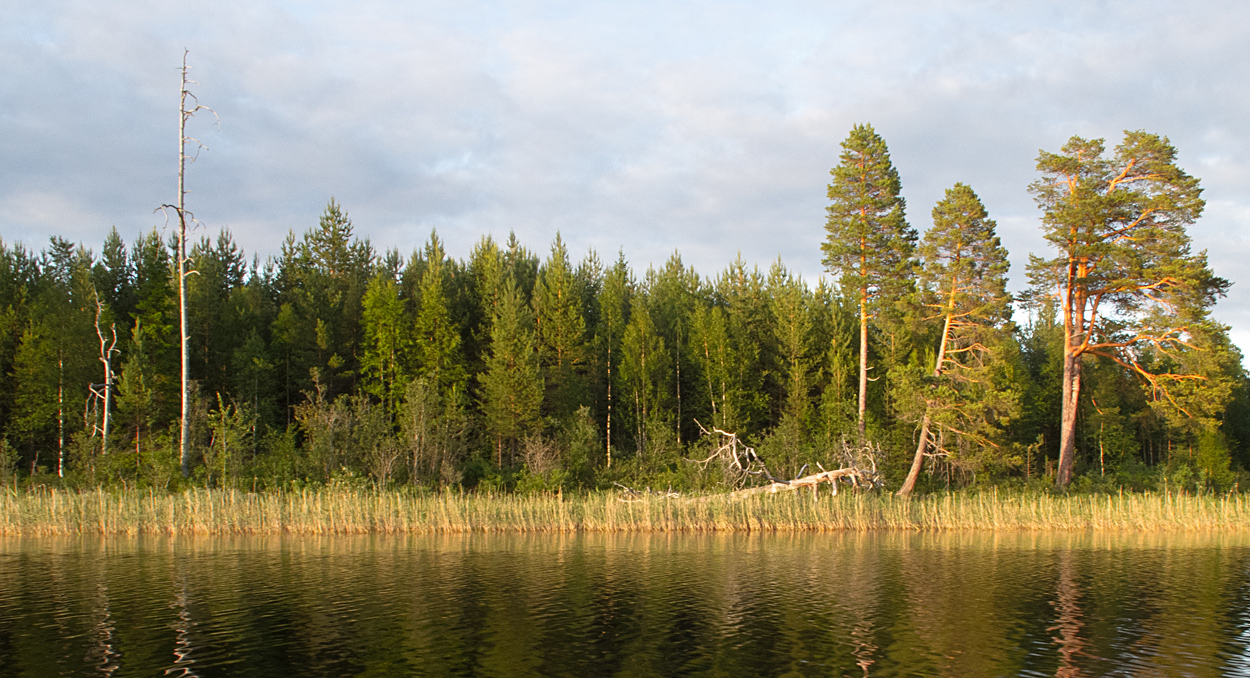 Skallån - Schweden