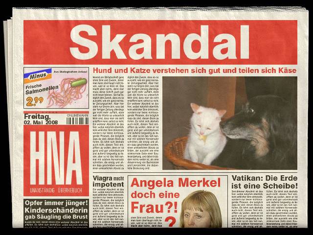 Skandal: Hund und Katze verstehen sich gut.