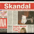 Skandal: Hund und Katze verstehen sich gut.