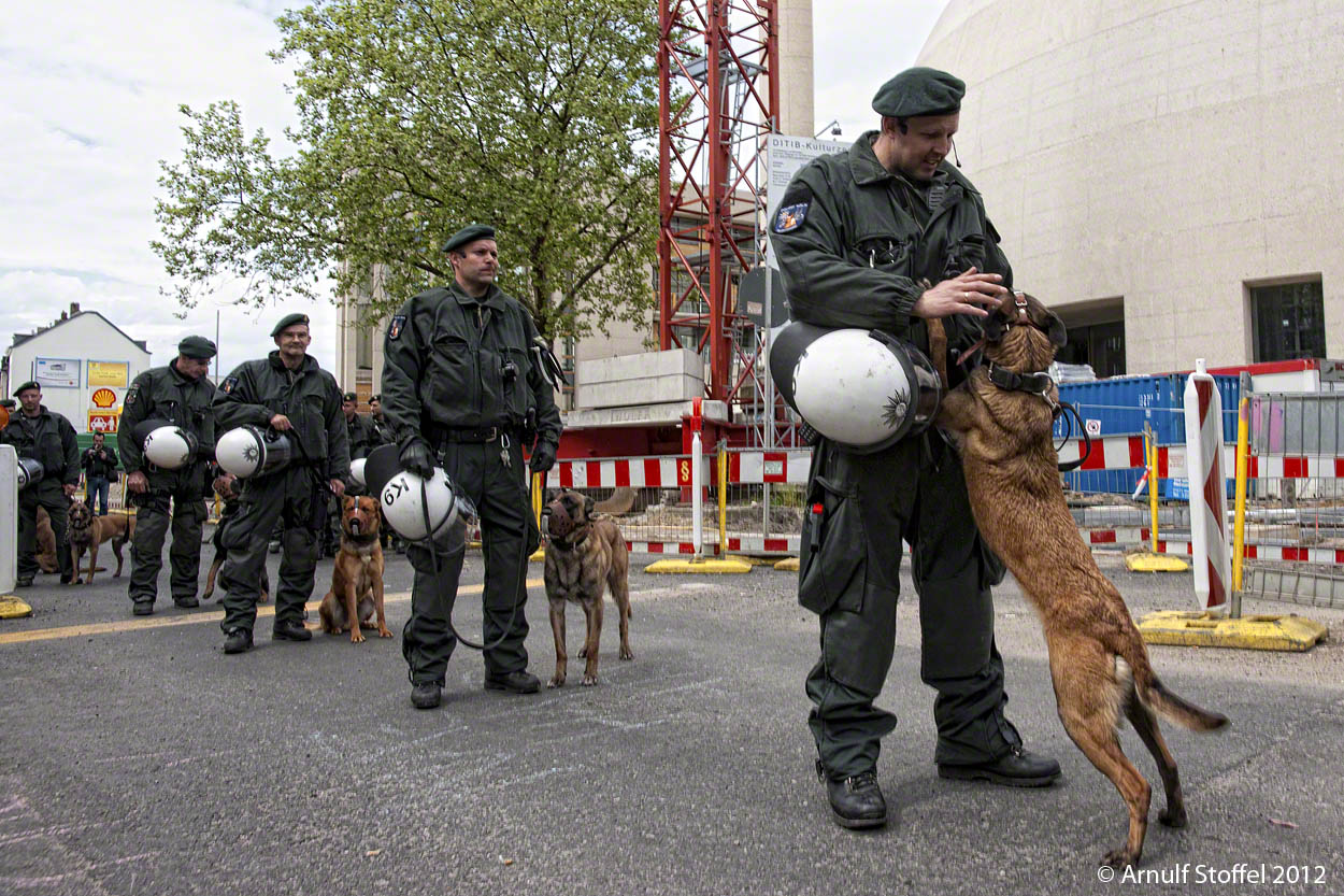 Skandal in Köln: Deutsche Schäferhunde schützen islamische Moschee!!!